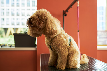 Similar image 22263197