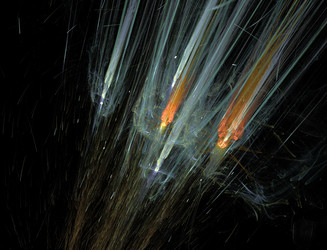 Similar image 22286638