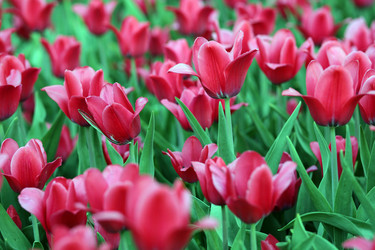 Similar image 22258682