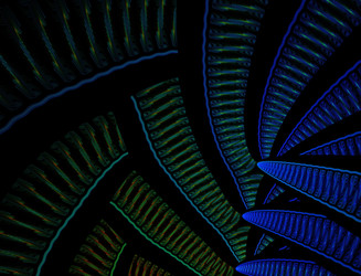 Similar image 22287504