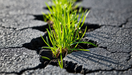 Similar image 22255968