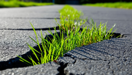 Similar image 22255971