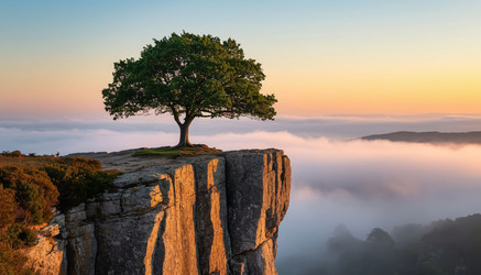 Similar image 22256060