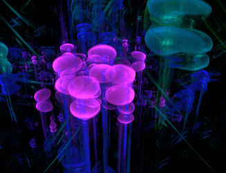 Similar image 22286655