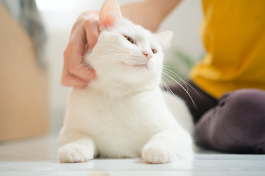 Similar image 22262102