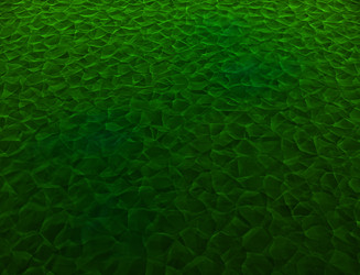 Similar image 22287031