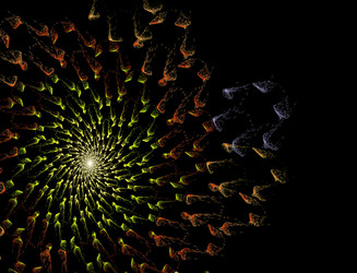 Similar image 22287034