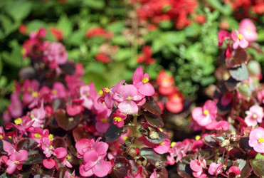 Similar image 22278372