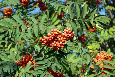 Similar image 22278374