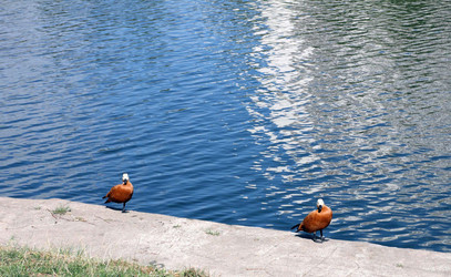 Similar image 22278379