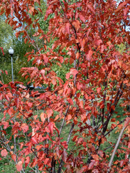 Similar image 22278396