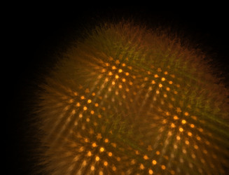 Similar image 22286208