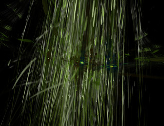 Similar image 22280968