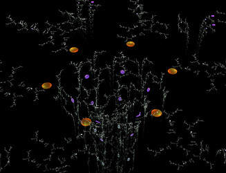 Similar image 22280501