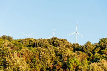 Similar image 22256202