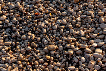 Similar image 22256468