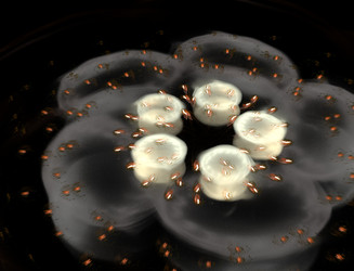 Similar image 22280530