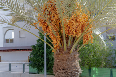 Similar image 22279368