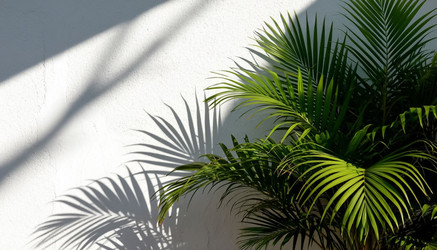 Similar image 22259696