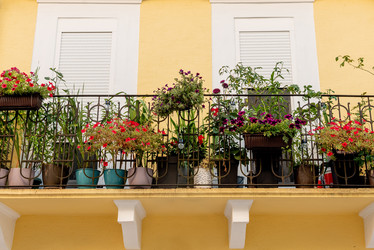 Similar image 22256480