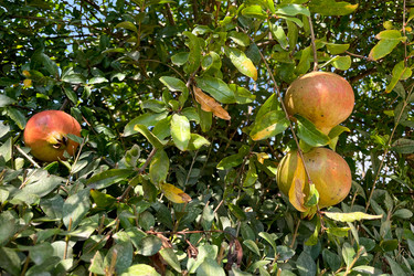 Similar image 22256484