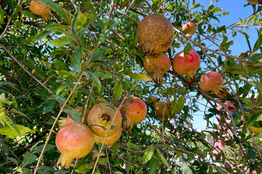 Similar image 22256485