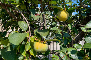 Similar image 22256487