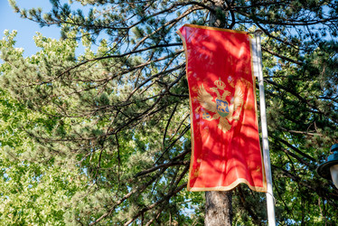 Similar image 22256490