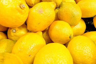 Similar image 22256495