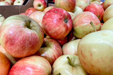 Similar image 22256496