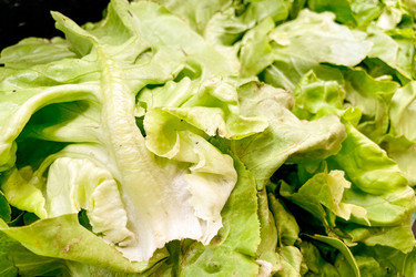 Similar image 22256503