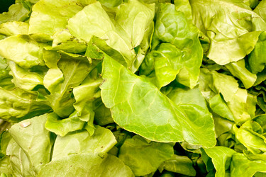 Similar image 22256504