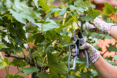 Similar image 22248867