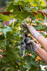 Similar image 22248868