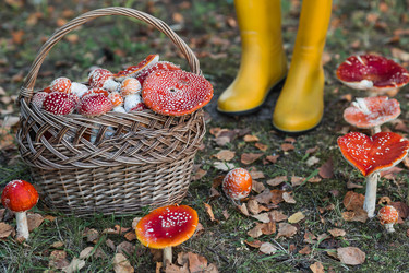 Similar image 22248869