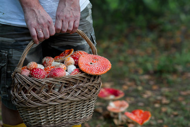 Similar image 22248870