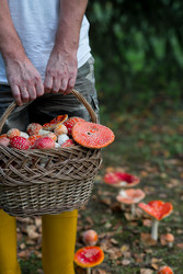 Similar image 22248871