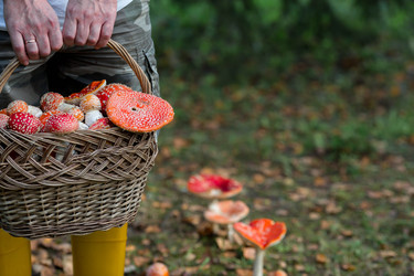 Similar image 22248872