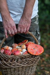 Similar image 22248873