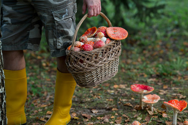 Similar image 22248875