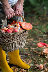 Similar image 22248876