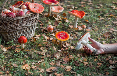 Similar image 22248877