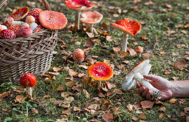 Similar image 22248878