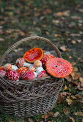 Similar image 22248879