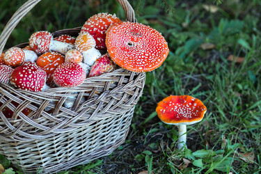 Similar image 22248880