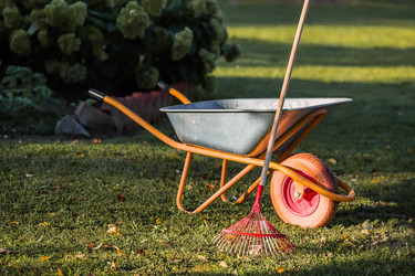 Similar image 22248883