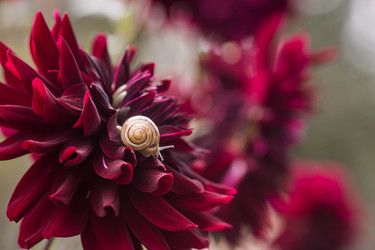 Similar image 22248888