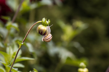 Similar image 22248889