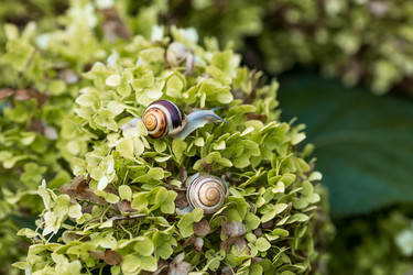 Similar image 22248890