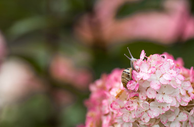 Similar image 22248891